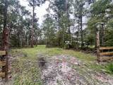 1111 Fiddler Crab Drive - Photo 4