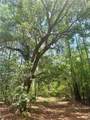 0 Timber Landing Road - Photo 1