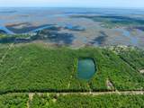 0 21 Acres Dover Bluff Road - Photo 11
