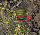 0 21 Acres Dover Bluff Road - Photo 3