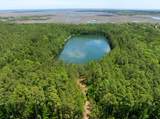 0 21 Acres Dover Bluff Road - Photo 5