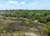0 21 Acres Dover Bluff Road - Photo 9