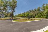 123 Canopy Lane - Photo 41