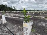 00 Swamp Road - Photo 2