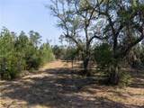 V/l 73 La Sole Lane - Photo 6