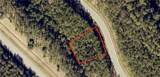 Lot 5 Sea Turtle Lane - Photo 1