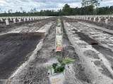 00 Swamp Road - Photo 11