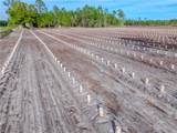 00 Swamp Road - Photo 15