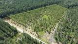 1000 Massie Causeway - Photo 2
