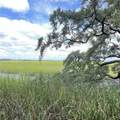 7211 Blythe Island Highway - Photo 9