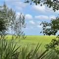 7211 Blythe Island Highway - Photo 43