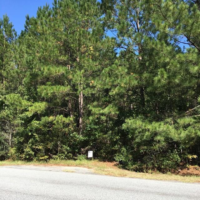 Hwy 251 - Photo 1
