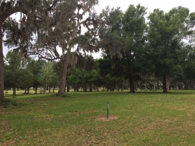Coopers Pt. Eagle Way Drive - Photo 1