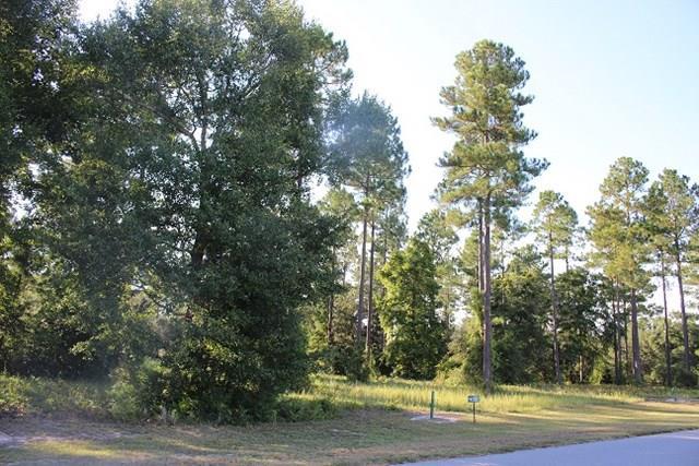 Coopers Point Drive - Photo 1