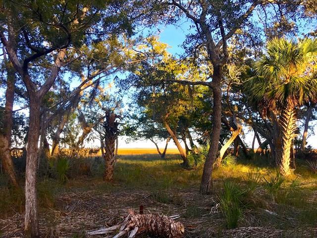 Guale Point - Photo 1