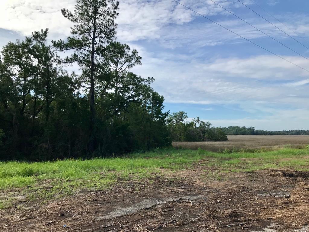4141 Highway 17 - Photo 1