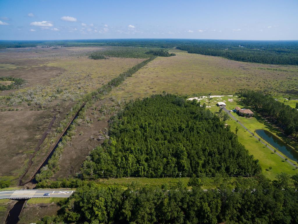 1339 Oak Grove Road - Photo 1