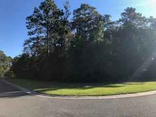 43 Ruddyduck Court - Photo 1
