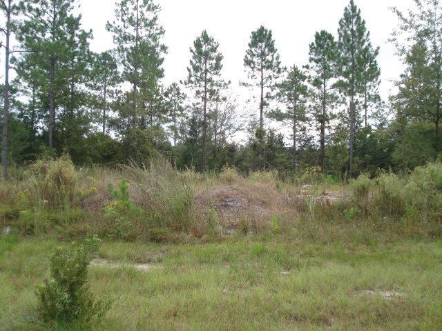 7 Boot Harrison Road - Photo 1
