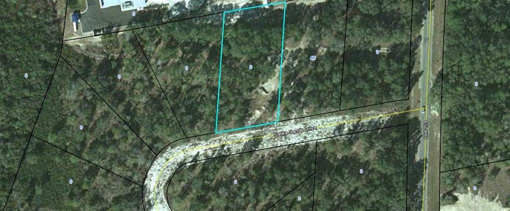 3 Satilla Sands Drive - Photo 1