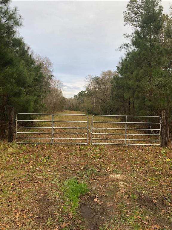 5406 Old Jesup Road - Photo 1