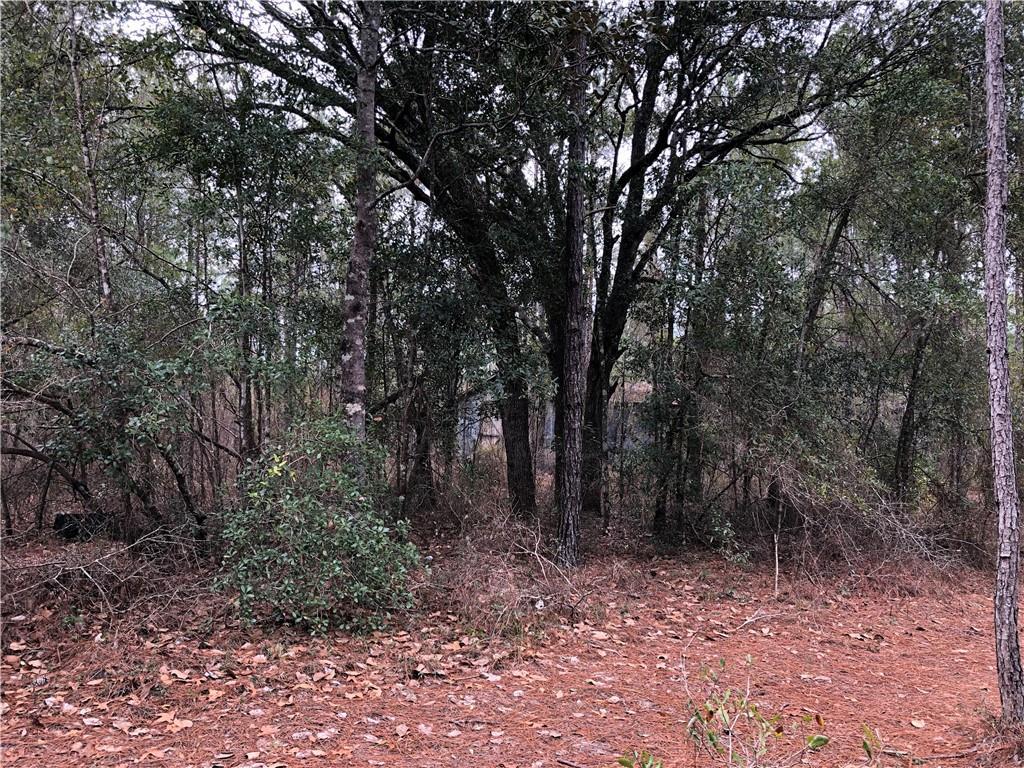 0 Horseshoe Drive - Photo 1