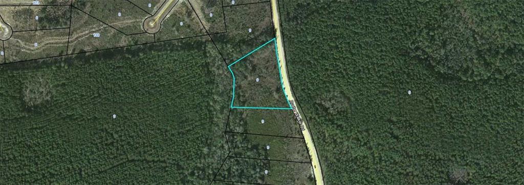 2737 Buster Walker Road - Photo 1