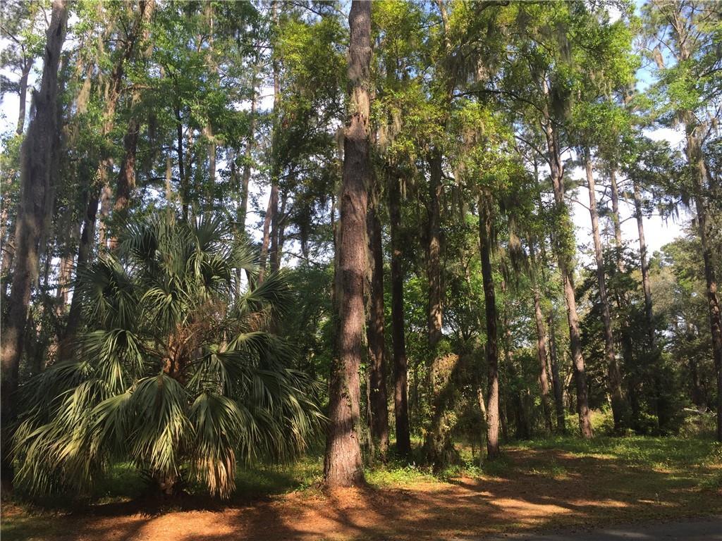 8 Sugar Mill - Photo 1