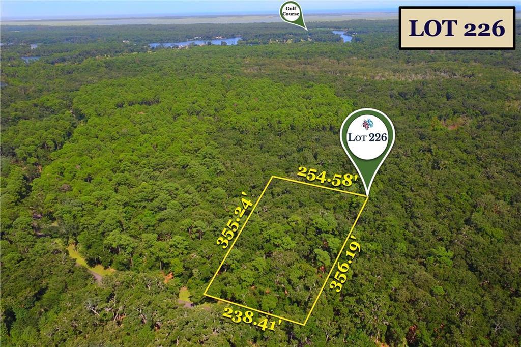 371 Pike's Bluff Drive - Photo 1