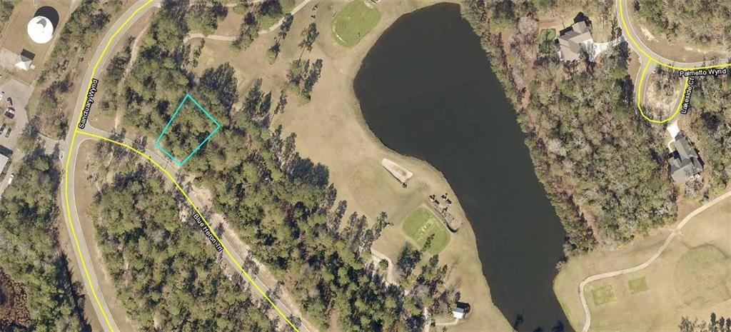 35 Blue Heron Trail - Photo 1