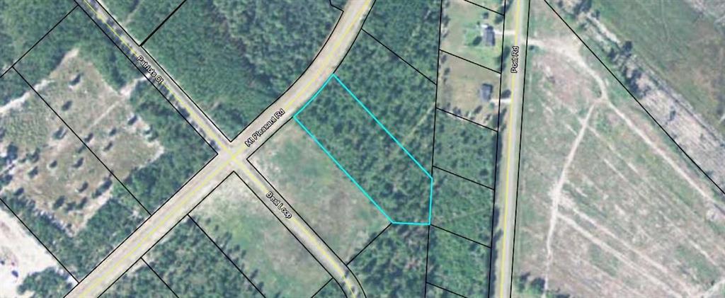 185 Mt Pleasant Road - Photo 1
