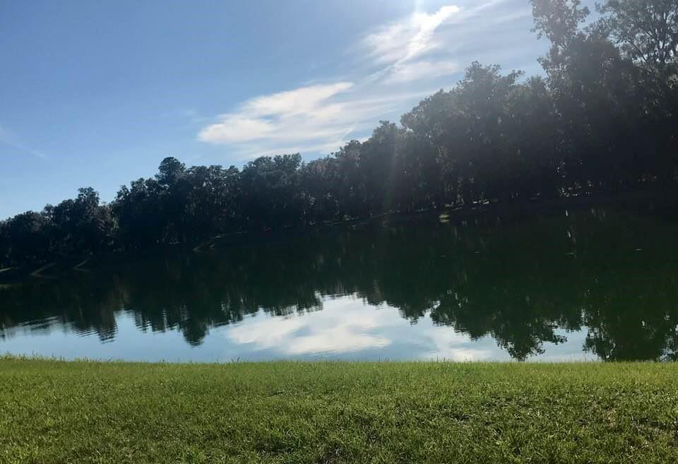914 Hidden Lagoon Lane - Photo 1