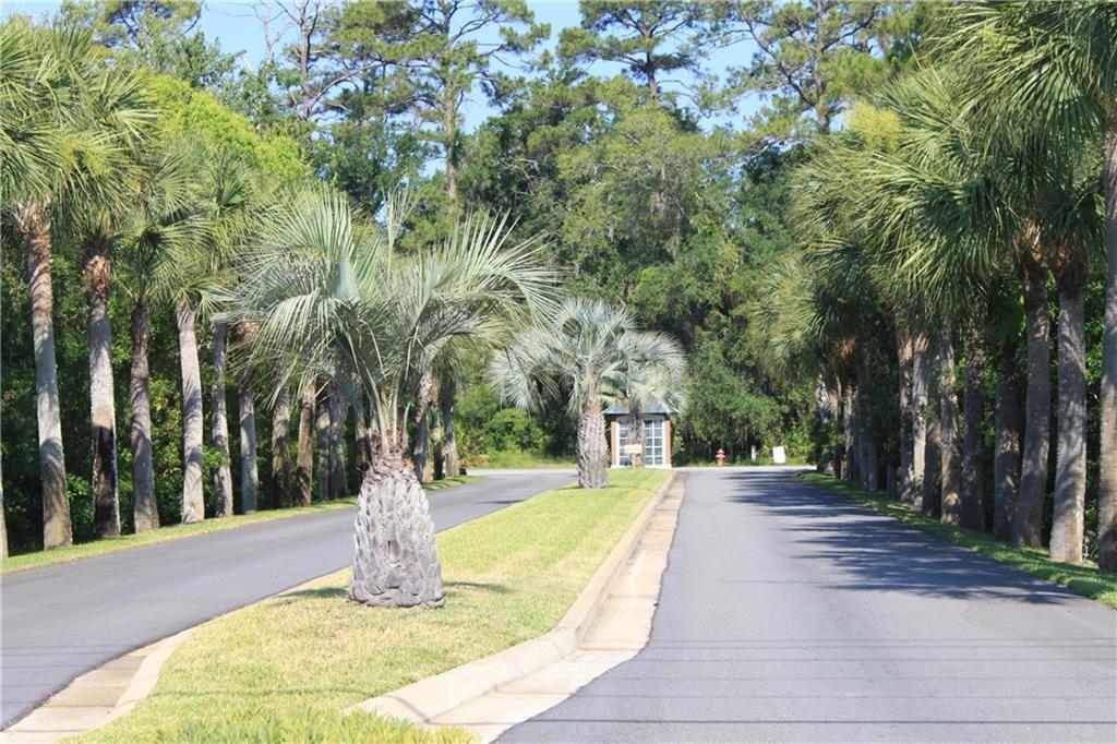 168 Palmera Lane - Photo 1