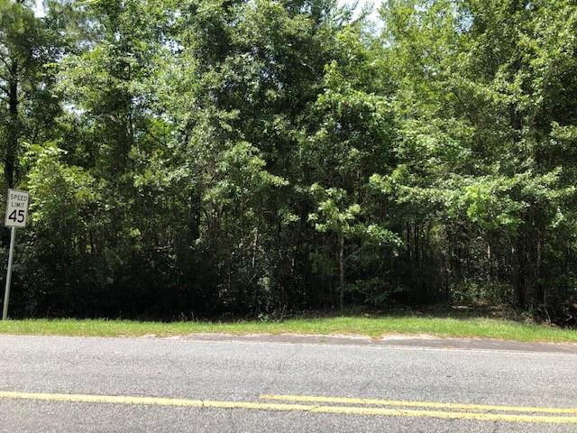 50 Clarks Bluff Road - Photo 1