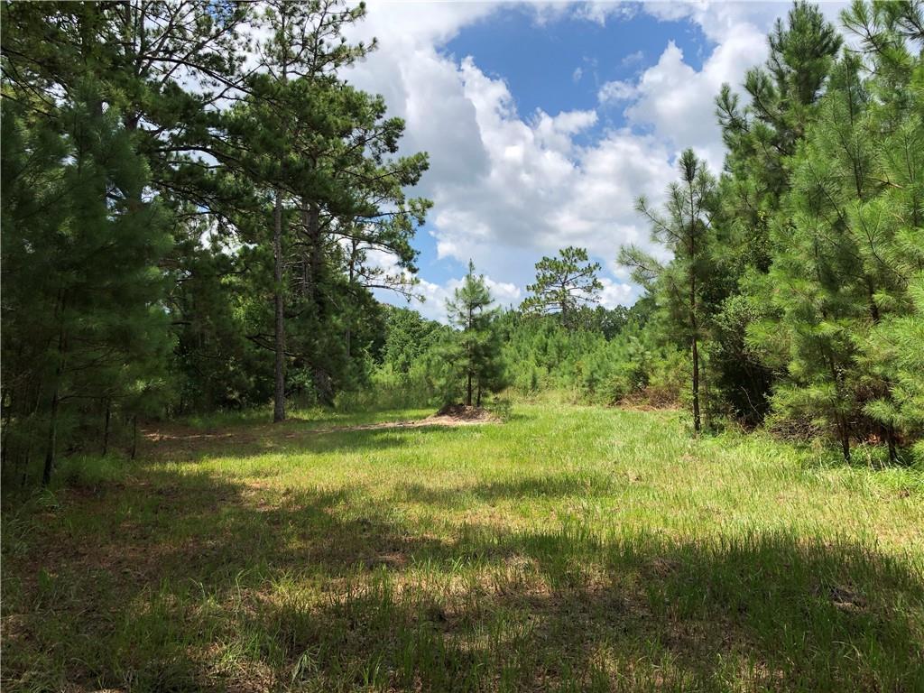 115 Blue Grass Lane - Photo 1