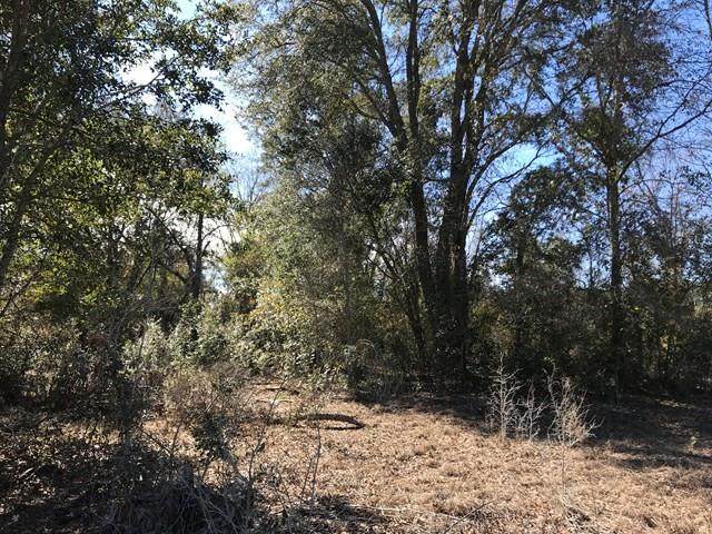5561 Tara Road - Photo 1