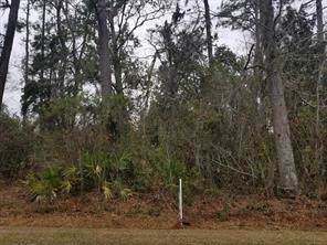 205 Palmera Lane - Photo 1