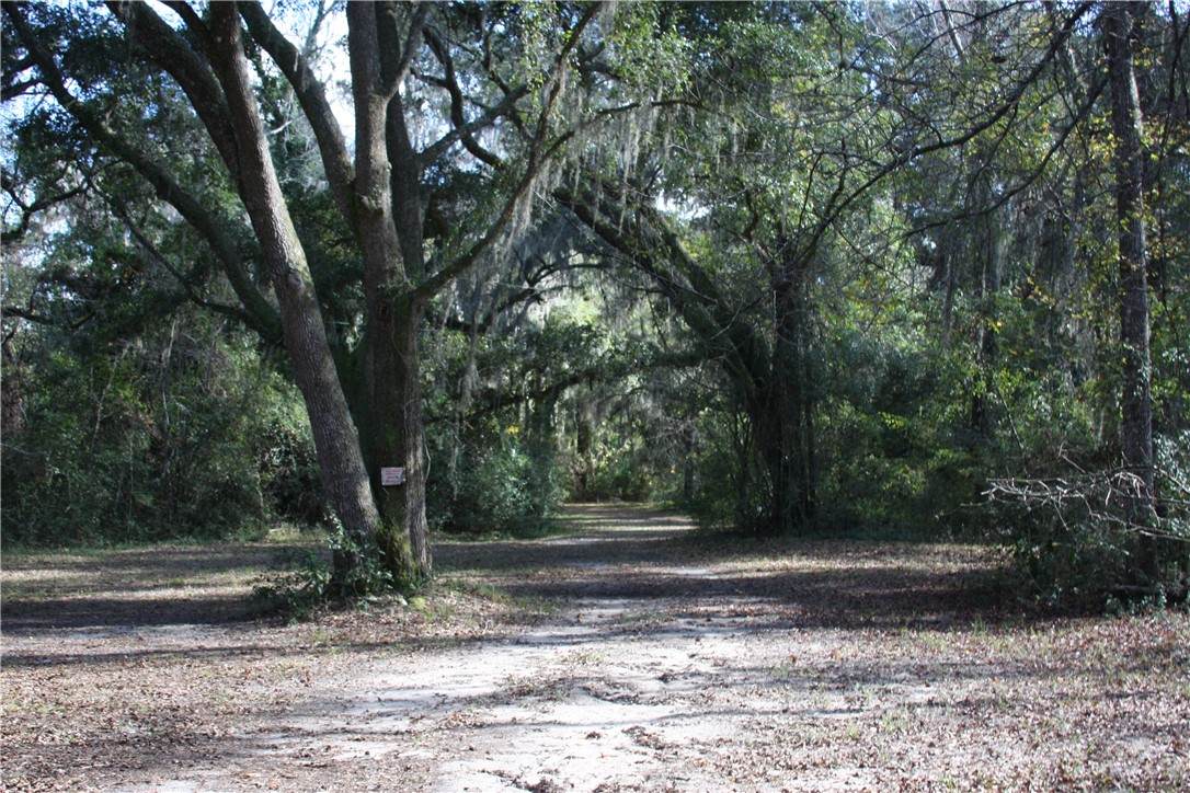 0 Joseph Wiggins/Mineral Springs Rd Road - Photo 1