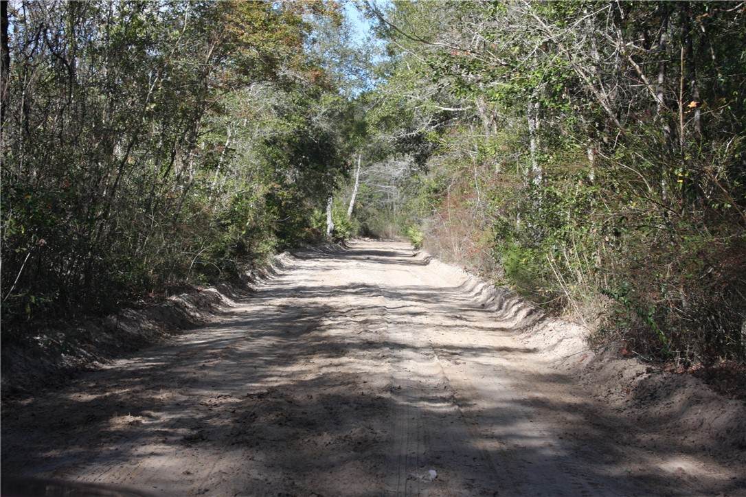 https://bt-photos.global.ssl.fastly.net/goldenisles/orig_boomver_1_1615893-2.jpg