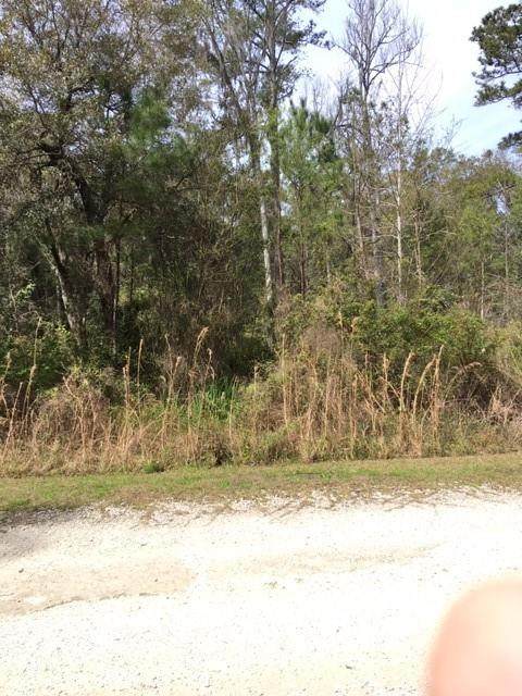 33 Carnochan Bluff Lane - Photo 1