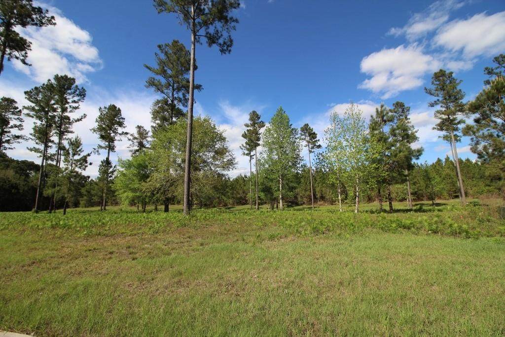 235 Salt Creek Way - Photo 1