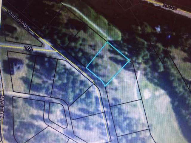 140 Sapelo Park Drive Drive - Photo 1