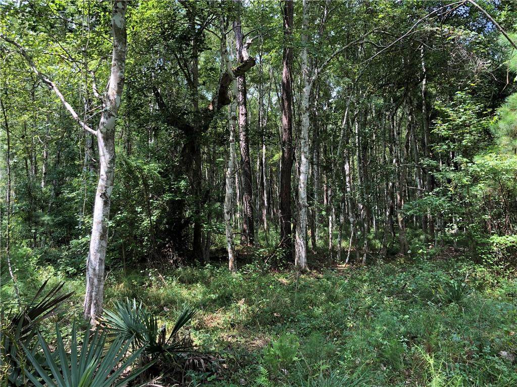 0 Shell Road - Photo 1