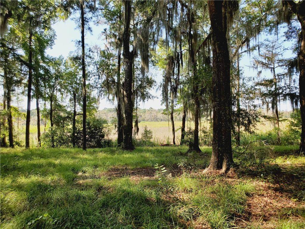 Lot 15 Black Cypress Drive - Photo 1