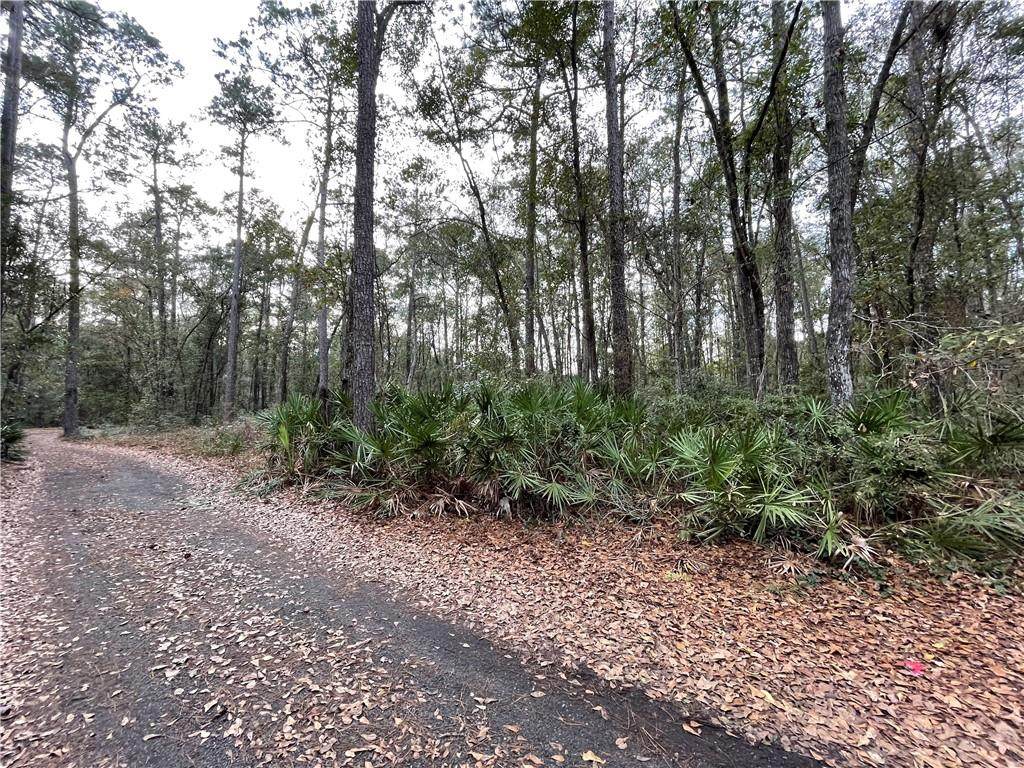 15 Cotton Field Road - Photo 1