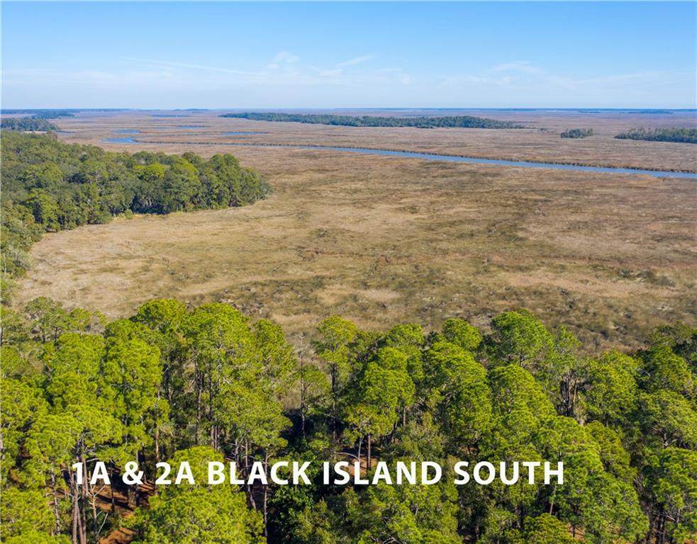 Lot 1A & 2A Black Island Road - Photo 1