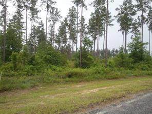 185 Mt Pleasant Road - Photo 1