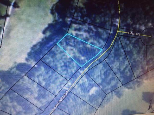 Lot 883 Oak Forest Drive - Photo 1