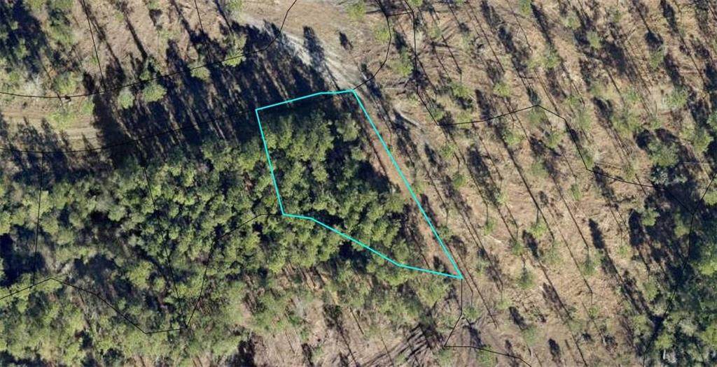 Lot 688 Sand Dune Road - Photo 1