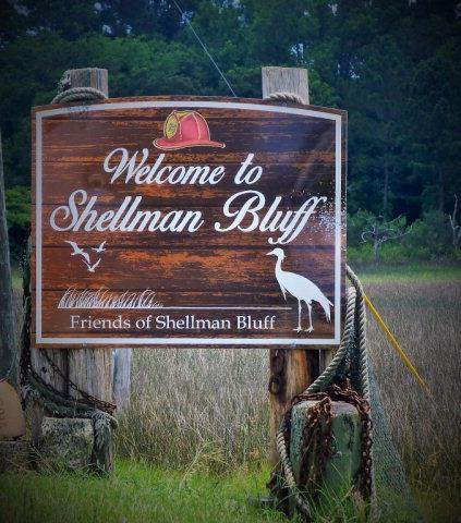 7A Shellman Bluff Road - Photo 1